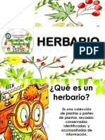 Material de Apoyo El Herbario