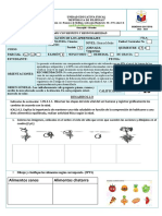 Formato D Examen Nee Ciencias Naturales