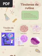 Tinciones de Rutina - B. Celular