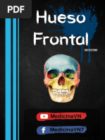 Hueso Frontal