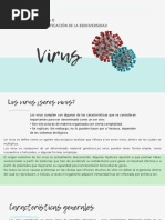 Todo Sobre Los Virus