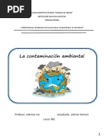 Informe-La Contaminacion Ambiental