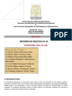 Grupo 3 - Informe Semana 5