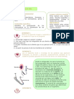 3 Ficha Herencia Biología