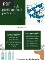 Métodos de Purificación de Proteínas