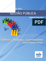 PNAP - GP - Cultura e Mudanca Organizacional