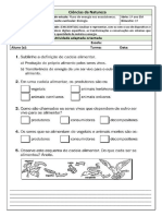 Atividade Adaptada - Cadeias Alimentares