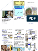 Triptico Produccion de Etanol