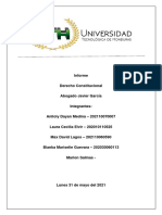 Informe Derecho Constitucional