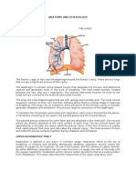 Anatomy and Physiology: Upper Respiratory Tract