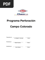 Programa Perforación CDO