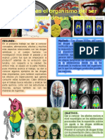 Infografia de Drogas Sinteticas