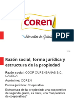 Coren Descripción Empresa