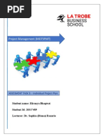 Individual Project Plan