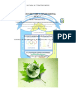 Proyecto Ambiental 2022