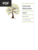 Modulo 1 - Naturales