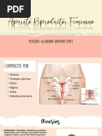 Aparato Reproductor Femenino