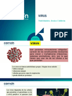 Virus Repaso