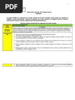 Planificacion Por Proyecto Nivel Secundario Completa