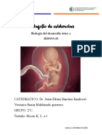 Tercera-Octava Semana de Desarrollo Embrionario