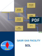 Gas Plants