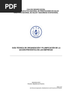 02 - Guia Técnica de Organización y Planificación de La Acción Preventiva A Las Empmresas