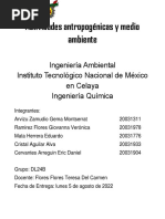 Actividades Antropogénicas y Medio Ambiente - Ramirez Flores