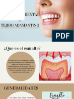 El Esmalte Dental