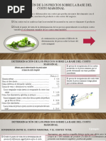 Costo Marginal y Rendimiento de La Inversión