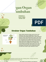 Organ Organ Tumbuhan - Kelompok 6