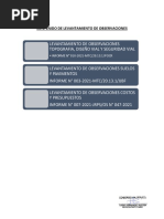 Informe Lev. de Obs. DEPT 02 Perucol