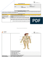 MF 2 - Guía 04 - Sistema Linfático