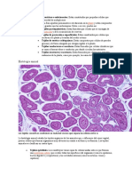 Histología Animal: Planta Nutrición