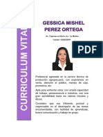 Curriculum Vitae Mishel 2