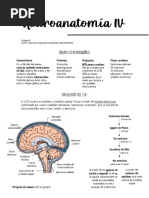 Unidad 5 LCR y Vías de Conducción Sensitivas (Ascendentes) : Vellosidad Aracnoidea Espacio Subaracnoideo