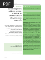 La Sobrecarga de La Cuidadora Principal, Analisis de Las Circunstancias Que Intervienen en Su Produccion.