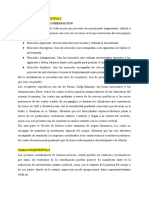 Word Semiología de La Coordinación y El Equilibrio