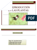 Reproduccion Sexual en Plantas