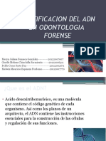 (Forense) Identificacion Del ADN en Odontologia Forense