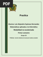 Practica EIHL