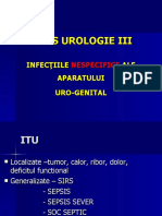 3 Infectii Nespecifice Tractului Urinar Superior