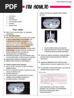 ITU ADULTO - Dra - BRUNA