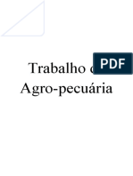 Trabalho de Agro-Pecuaria