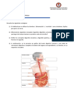 Actividad N10 - Anatomia Funcional-Isfd86