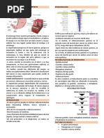 Cancer Gastrico