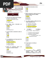 Semana 4