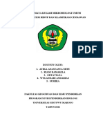 Materi Sistem Hidup Dan Klasifikasi Cendawan