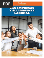 Las Empresas y Su Entorno Laboral