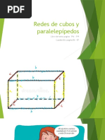 Redes de Cubos y Paralelepipedos