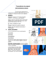 Orthopedie5an-Traumatismes Poignet2022abderrezak